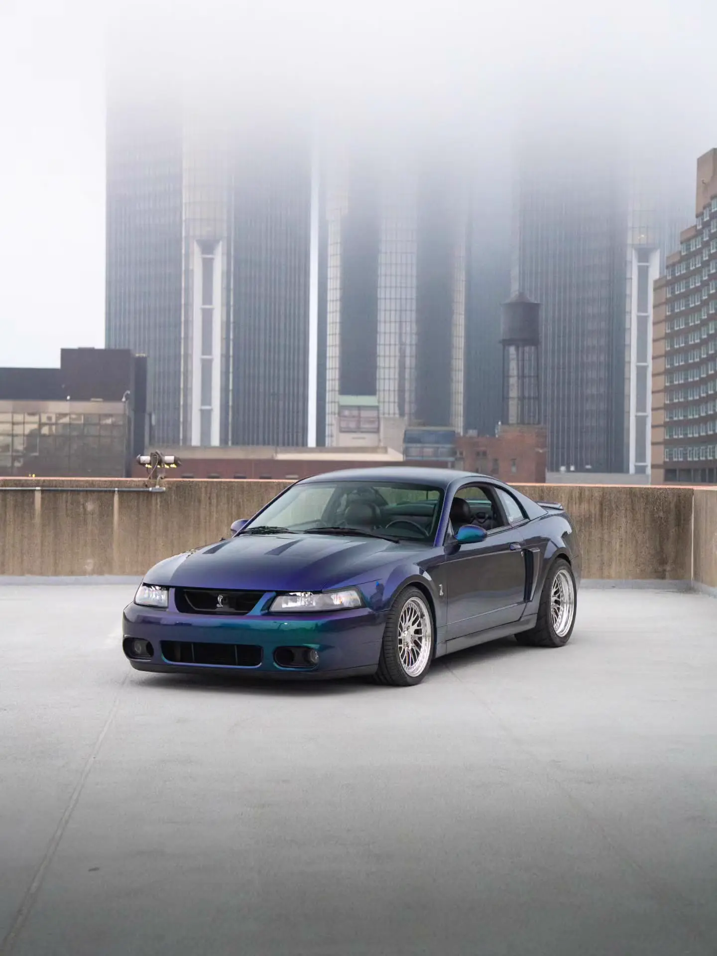 Mystichrome 2004 Ford Mustang SVT Cobra